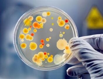 Τα βακτήρια μπορεί να προκαλέσουν χρόνια προστατίτιδα