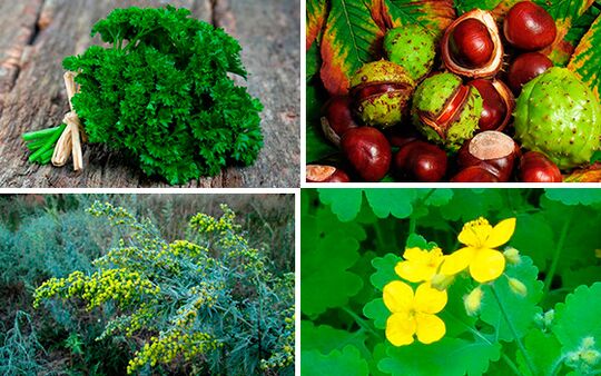 βότανα για τη θεραπεία της προστατίτιδας