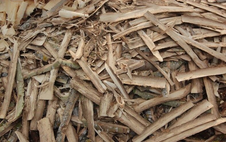 φλοιός aspen για προστατίτιδα